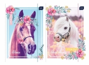 Teczka z gumką A4 + LUX UV Pony (10 szt.)