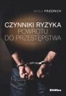 Czynniki ryzyka powrotu do przestępstwa Wiola Friedrich