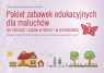 Pakiet zabawek edukacyjnych dla maluchów Do ćwiczeń i zabaw w domu i w Gruszczyk-Kolczyńska Edyta, Zielińska Ewa