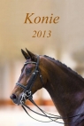 Kalendarz 2015 Konie