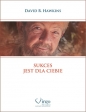 Sukces jest dla ciebie - David R. Hawkins