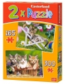 Puzzle  2W1 Kittens in the Garden (021116)