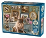 Puzzle 500 Buldog francuski 113529 10+