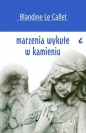 Marzenia wykute w kamieniu - Blandine le Callet