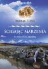 Ścigając marzenia W pogoni za złotem Andrzej Śliwa