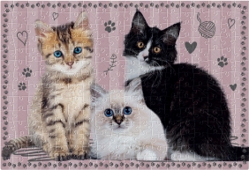 Interdruk, Puzzle 250: Puppy Sign 1