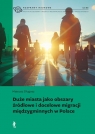 Duże miasta jako obszary źródłowe i docelowe migracji międzygminnych w Długosz Mateusz