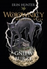  Gniew burzy. Cykl Wojownicy. Mroczna wizja. Tom 6
