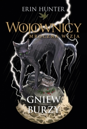 Gniew burzy. Cykl Wojownicy. Mroczna wizja. Tom 6 - Erin Hunter