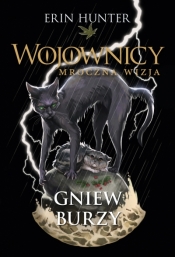 Gniew burzy. Cykl Wojownicy. Mroczna wizja. Tom 6 - Erin Hunter