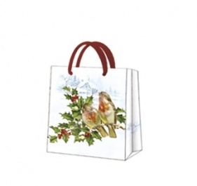 Torba SQ standard AGB019010 gwiazdka