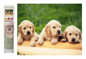 Mozaika diamentowa pieski labradory M50865