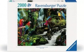 Ravensburger, Puzzle 2000: Papugi w dżungli (17111)