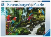 Ravensburger, Puzzle 2000: Papugi w dżungli (17111)