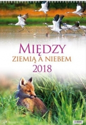 Kalendarz 2018 Ścienne - Między ziemią a niebem