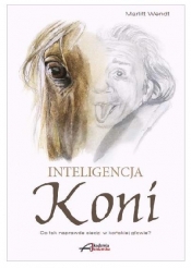Inteligencja koni