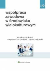 Współpraca zawodowa w środowisku wielokulturowym - Beata A. Basińska, Michał Chmielecki, Sylwia Przytuła, Małgorzata Rozkwitalska, Łukasz Sułkowski