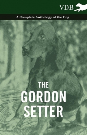 The Gordon Setter - A Complete Anthology of the Dog - Various