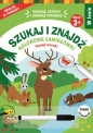 Szukaj i znajdź w lesie - Opracowanie zbiorowe, Opracowanie zbiorowe