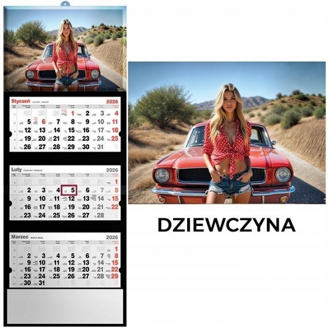 <img src='https://webimage.pl/pics/120/1/d5901421111120.jpg' style='height:440px' /> Kalendarz 2026 trójdzielny dziewczyna