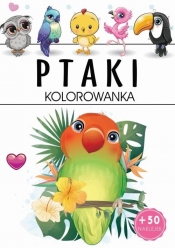 Ptaki Kolorowanka