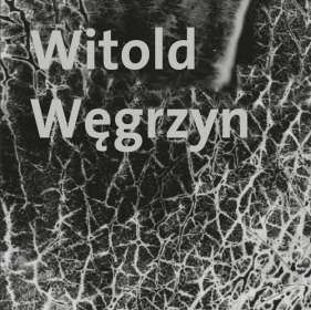 Witold Węgrzyn Nieuchwytna materialność - Węgrzyn Witold