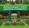 Kształtowanie i cięcie krzewów ozdobnych