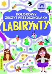 Kolorowy zeszyt przedszkolaka. Labirynty - Opracowanie zbiorowe