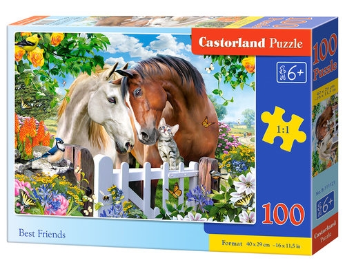 Puzzle 100: Best Friends