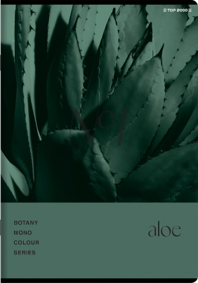 Zeszyt Top 2000: A5, 60k, Kratka - Botany
