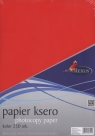 Papier ksero A4 250 arkuszy kolor mix