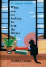 What You Are Looking for is in the Library Aoyama Michiko