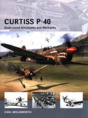 Curtiss P-40