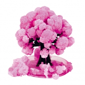 Kidea, Kwitnące drzewo Sakura