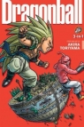 Dragon Ball (3-in-1 Edition), Vol. 14: Includes vols. 40, 41 & 42 Akira the Hustler