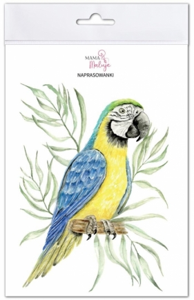 Naprasowanki Ara niebiesko-żółta