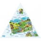 Puzzle 200: Puzzle pienińskie