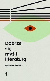 Dobrze się myśli literaturą. Wyd. 3 - Ryszard Koziołek