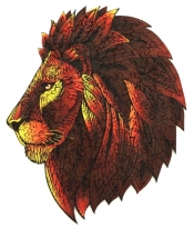Puzzle drewniane kolorowe Lew