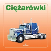 Ciężarówki - Kleszcz Piotr