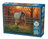 Puzzle 500 Wspólny czas 113153 10+