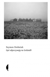 Gęsi odpoczywają na Gotlandii - Szymon Drobniak