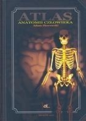 Atlas anatomii człowieka - Zborowski Adam