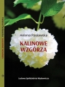  Kalinowe wzgórza