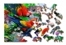 Puzzle drewniane 3D Wyspa papug Parrot Island M (EX0007-M)