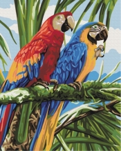 Obraz Paint it! Malowanie po numerach. Kolorowe papugi (BS22339)