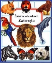 Zwierzęta. Świat w obrazkach - Émilie Beaumont