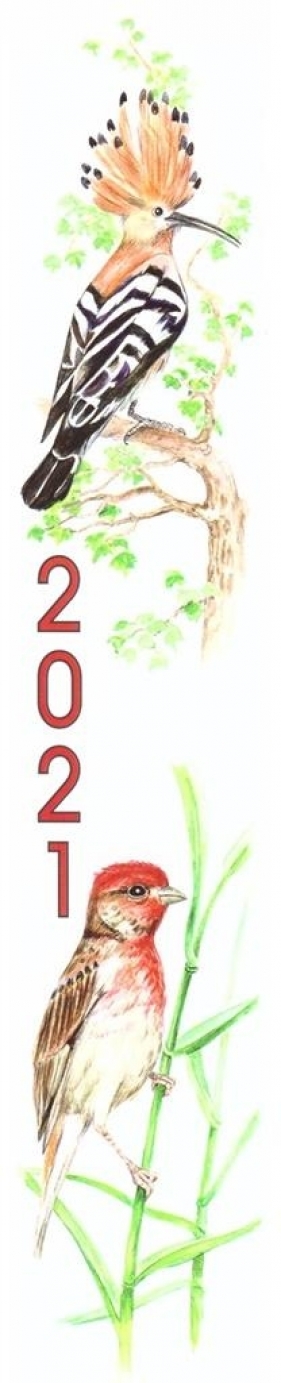 Kalendarz 2021 Paskowy Ptaki ADAM - Praca zbiorowa