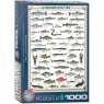  Puzzle 1000 Freshwater Fish 6000-031210+