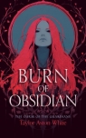 Burn of Obsidian: A Dark Paranormal Romance Taylor Aston White
